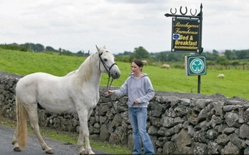 Beechgrove Farmhouse Hotel Shannon Luaran gambar